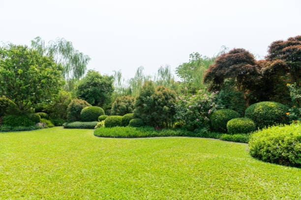 Jardinero en Tarragona y Barcelona  Podapins