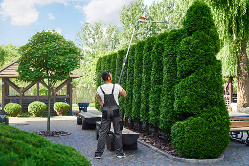Jardinero en Tarragona y Barcelona Podapins