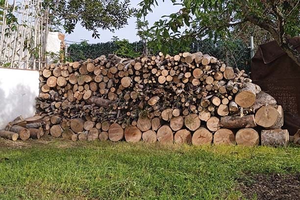 Venta de leña en Tarragona y Barcelona Podapins