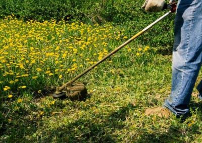 Desbroces en Barcelona y Tarragona Podapins