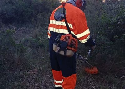 Desbroce del terreno en Tarragona Podapins