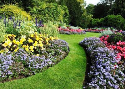 Servicio de jardineria en Tarragona y Barcelona Podapins