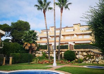 Poda de palmeras Washingtonia en Tarragona y Barcelona Podapins