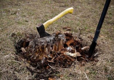 Quitar tocones en Tarragona Podapins