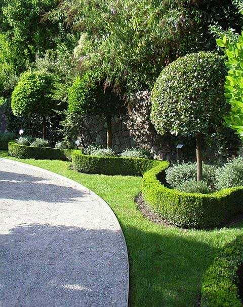 Servicio de jardineria en Tarragona y Barcelona Podapins