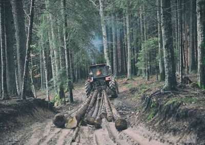 Trabajo forestal en Girona, Barcelona y Tarragona Podapins