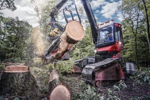 Trabajo forestal en provincia Tarragona y Barcelona Podapins