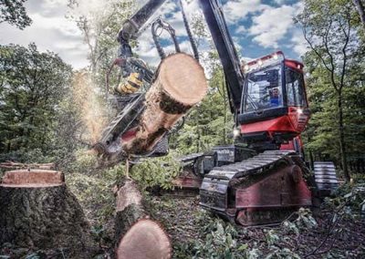 Trabajo forestal en provincia Tarragona y Barcelona Podapins