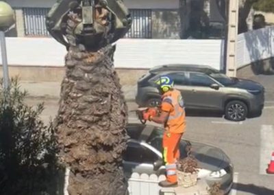Limpieza-de-parcelas