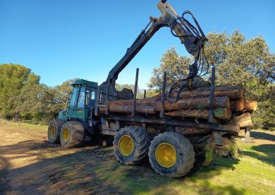 Autocargador forestal